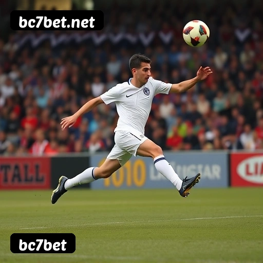 Níveis do programa VIP da bc7bet